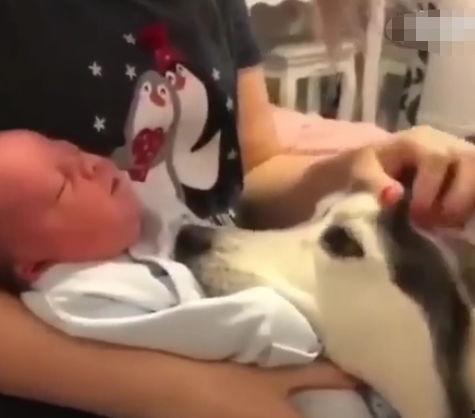 周围有婴儿的哭声吗？,婴儿啼哭声中的温馨时光