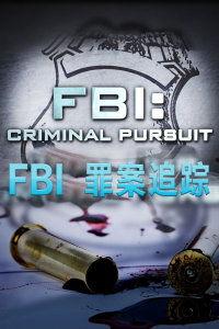 天网：罪案追踪