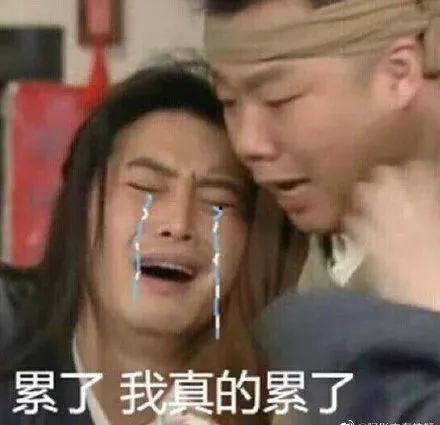 总裁夫人又去送外卖了,日常温馨瞬间曝光