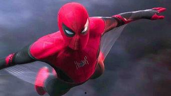 蜘蛛侠：英雄远征,英雄远征——青春英雄的全球征程